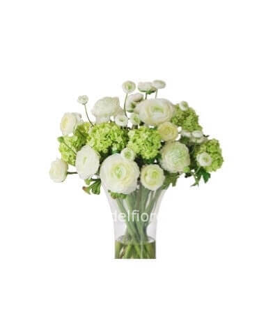 Bouquet di ranuncoli bianchi,rosa o colorato