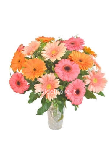 Bouquet di gerbere medio
