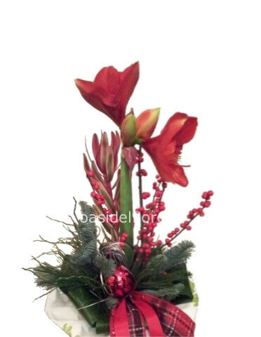 Mazzo di amarillis con bacche