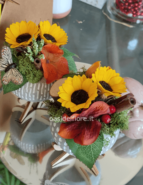 GIRASOLI STABILIZZATI