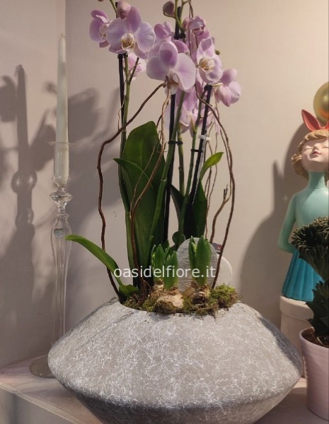 COMPOSIZIONE DI PIANTE